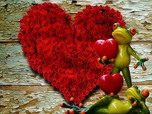 Partnersuche mit Altersunterschied Partnersuche mit Altersunterschied - Frosch mit Herz