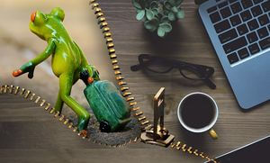 Frosch mit Reisekoffer