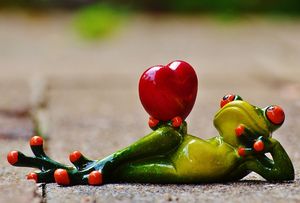 Netzsingles Schweiz Frösche mit Herzen