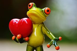 Frosch mit Herz