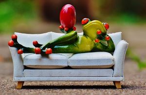 Frosch auf Sofa