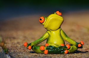 Frosch sitzt im Gras